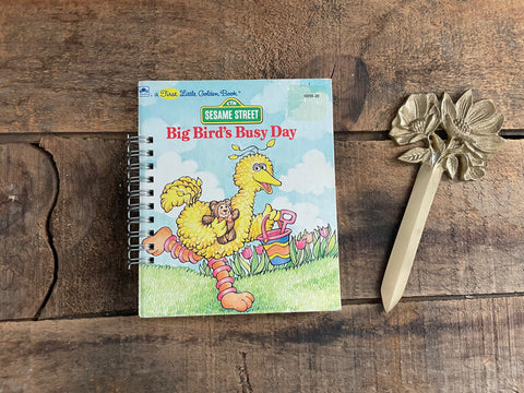 Big Bird's Busy Day