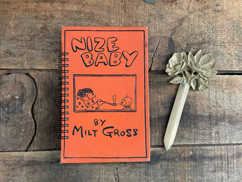 Nize Baby