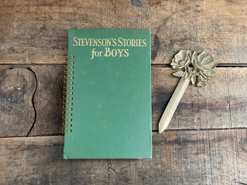 Stevenson's Stories for Boys