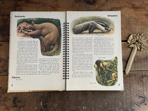 Books of Mammals